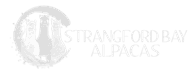 Strangford Bay Alpacas